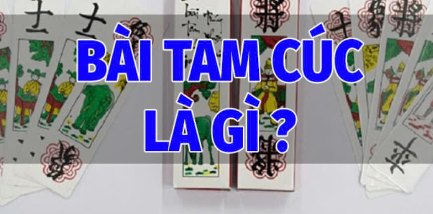 Bài Tam Cúc Pg88 Là Gì?